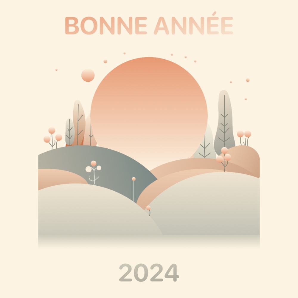 Bonne-annee.001